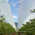 Transparent tarpaulin cherry tree plastic protection cover